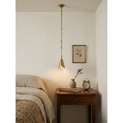Horse Hoof Piel Pendant Lamp