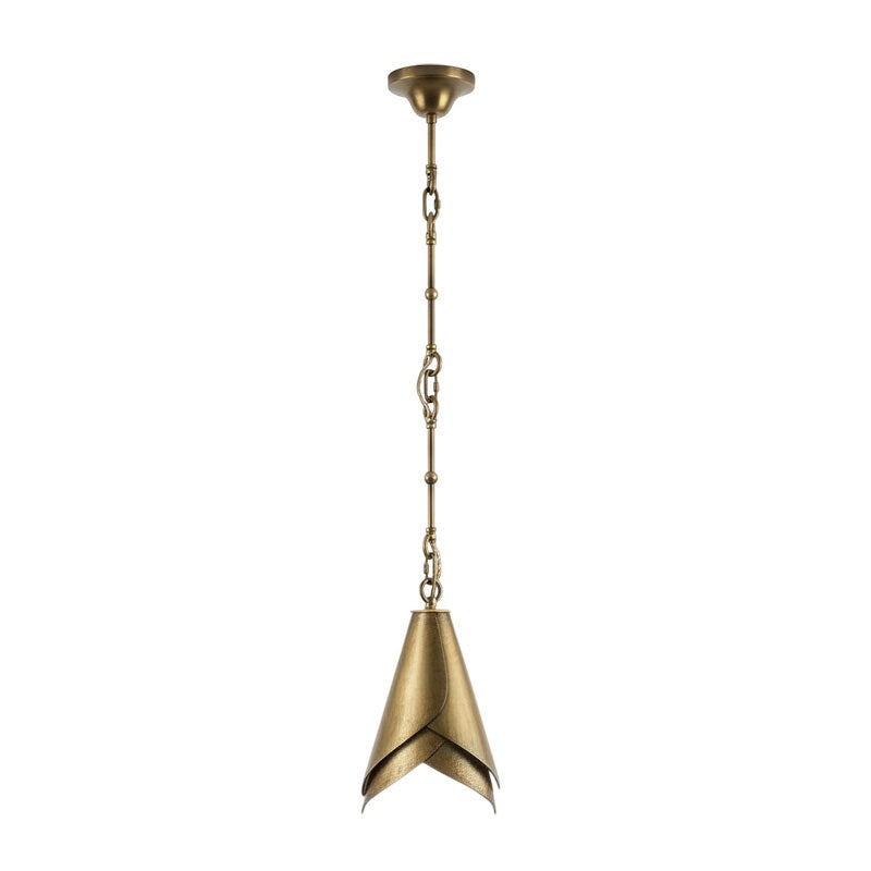 Horse Hoof Piel Pendant Lamp