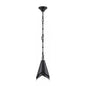 Horse Hoof Piel Pendant Lamp