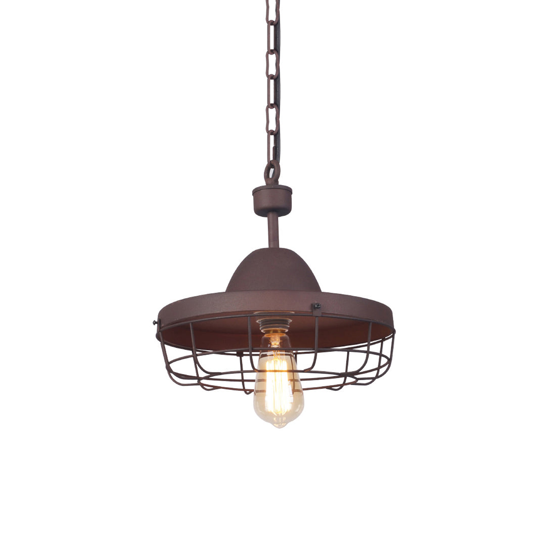 Vesa Cage Pendant Light