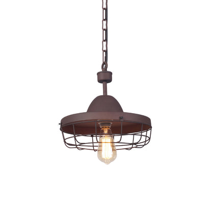 Vesa Cage Pendant Light