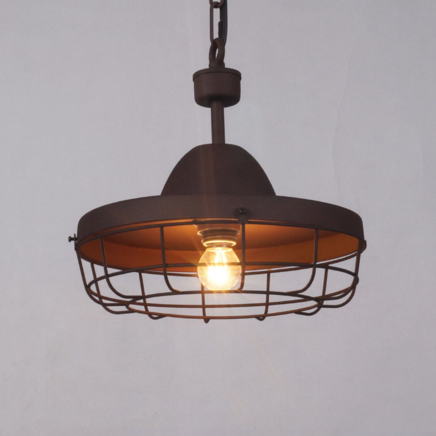 Vesa Cage Pendant Light