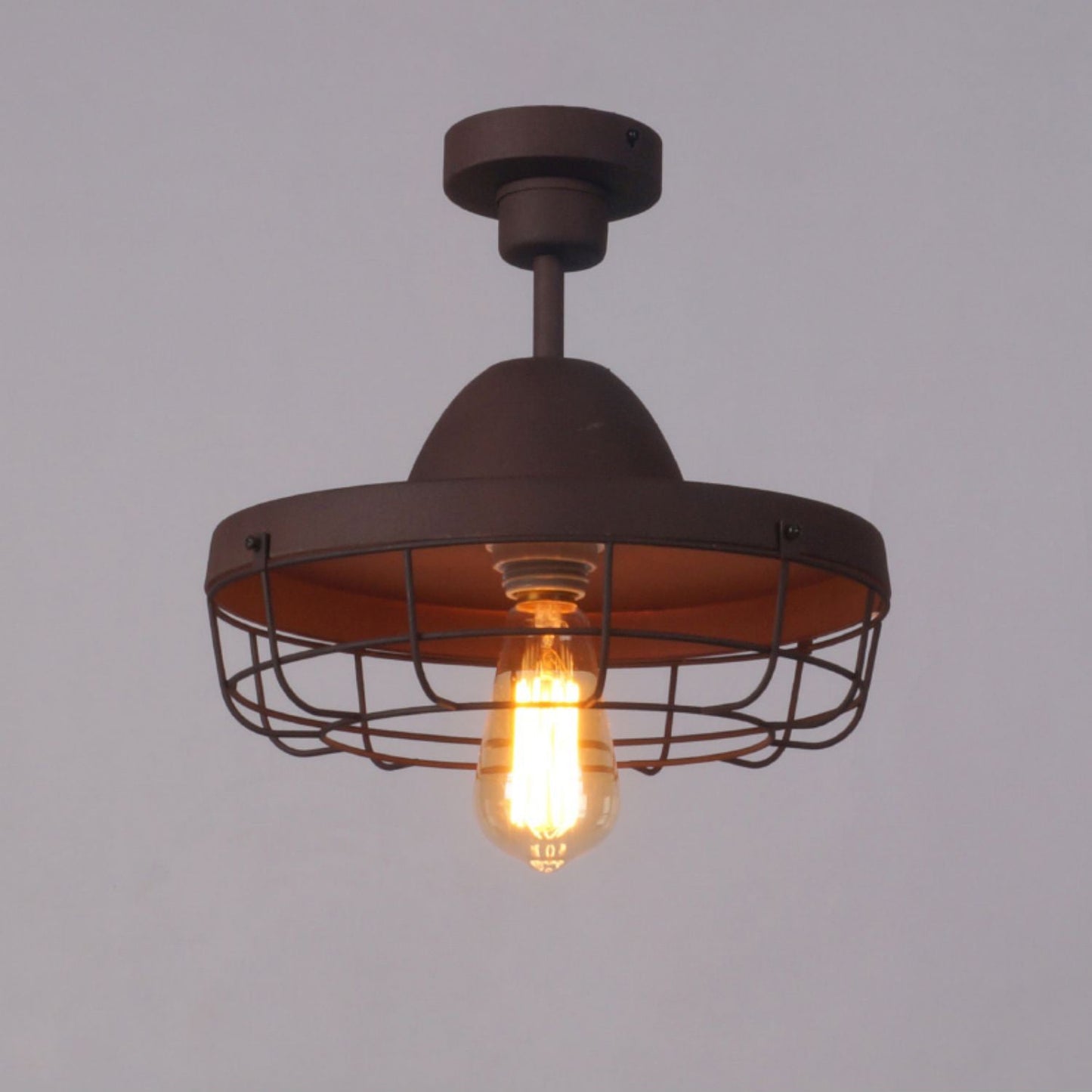 Vesa Cage Pendant Light