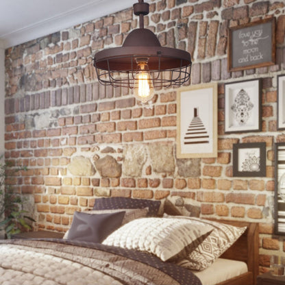Vesa Cage Pendant Light