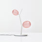Kalmia Table Lamp