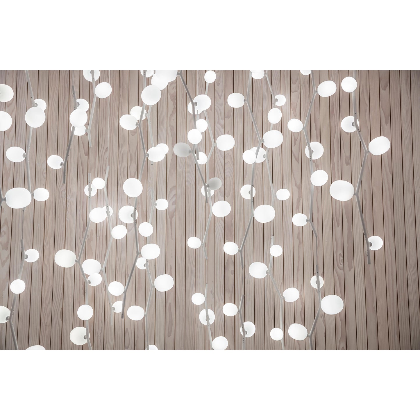 Kalmia Vertical Pendant Lamp