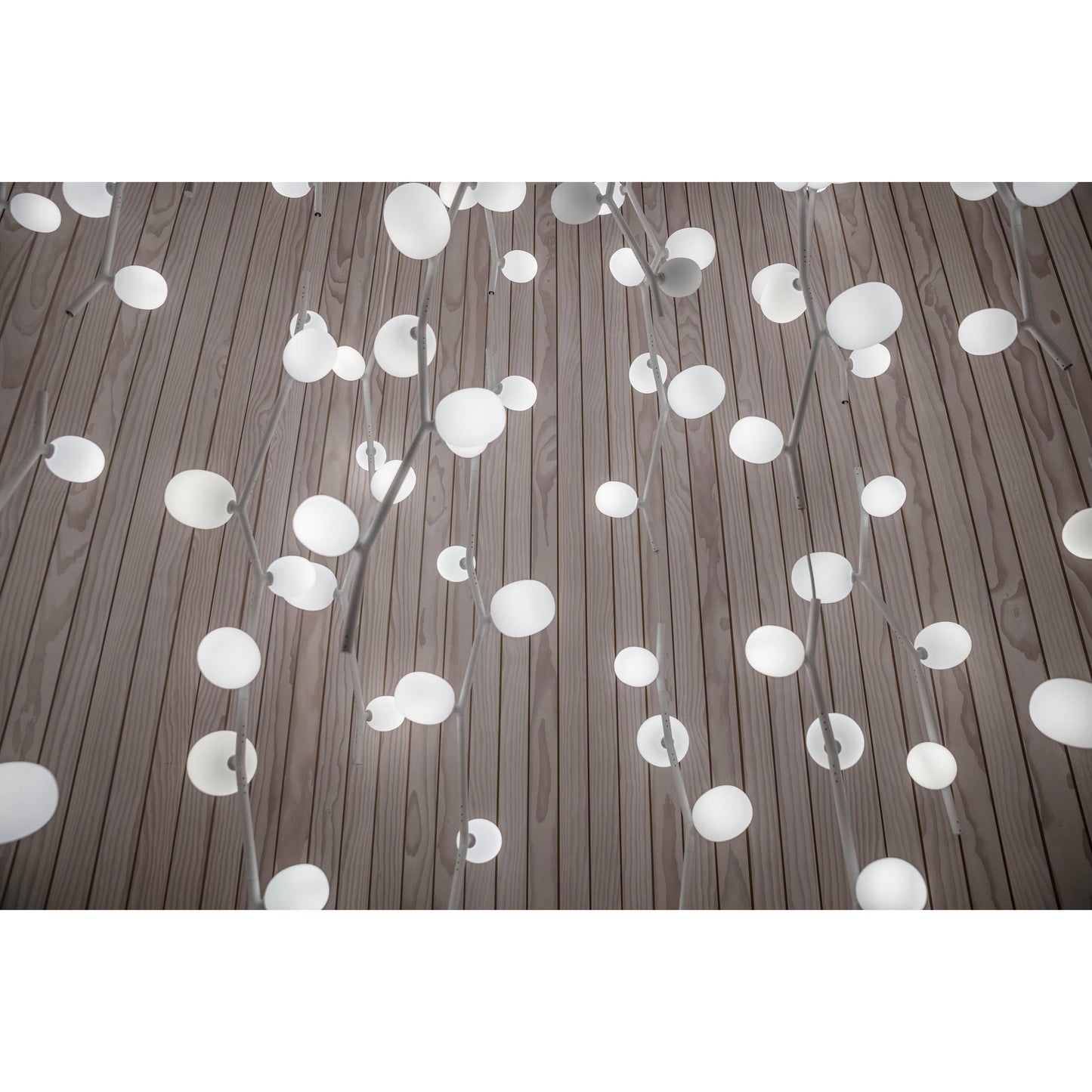 Kalmia Vertical Pendant Lamp