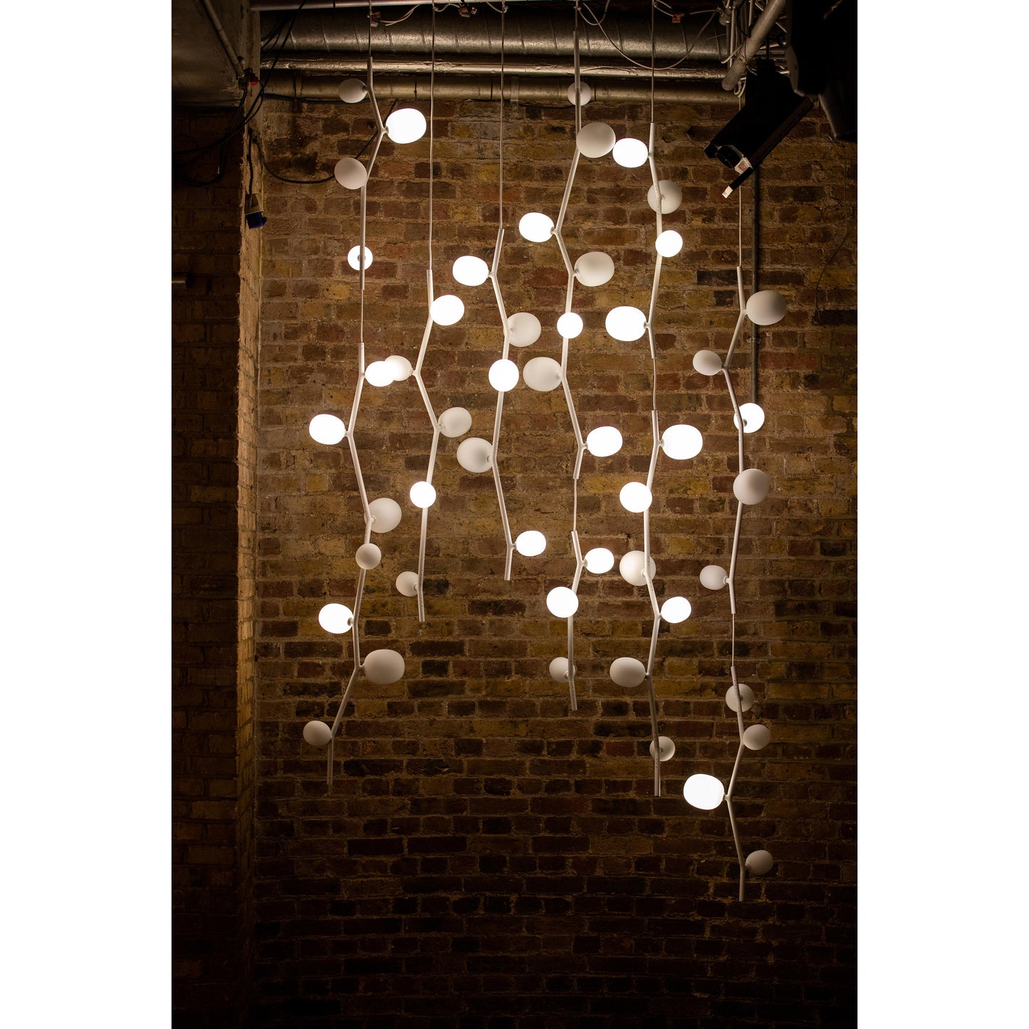 Kalmia Vertical Pendant Lamp