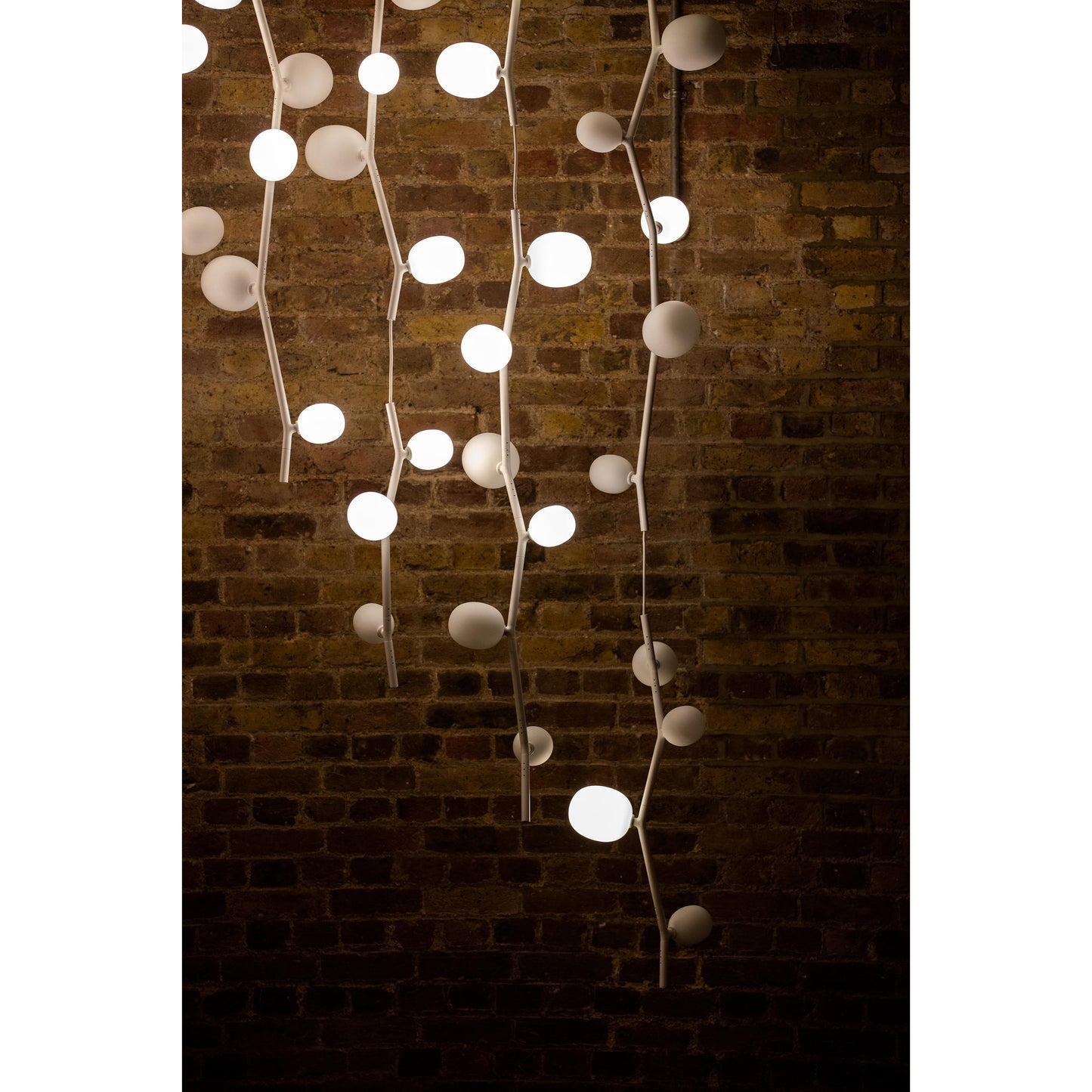 Kalmia Vertical Pendant Lamp