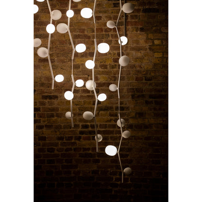 Kalmia Vertical Pendant Lamp