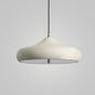 Kunzite Danika Pendant Lamp