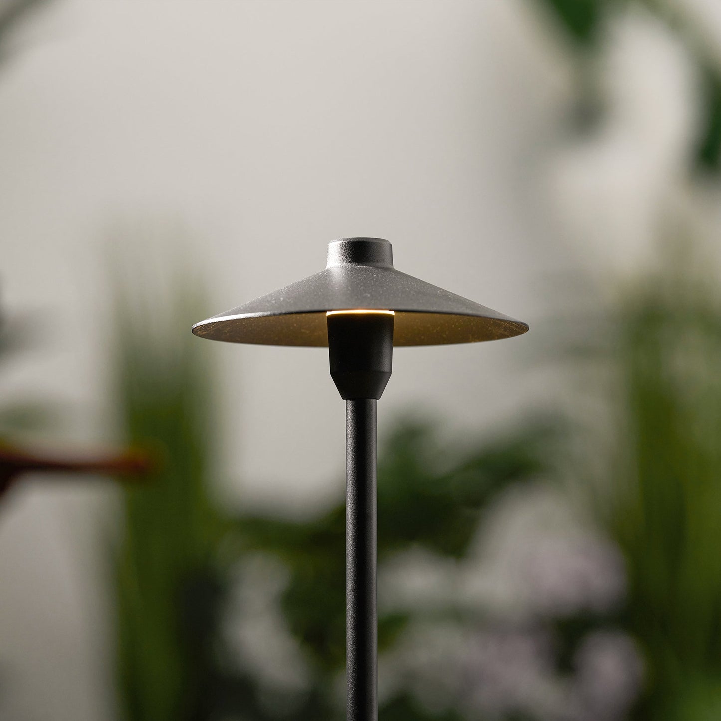 Zelika Outdoor Lights