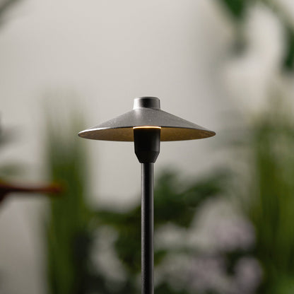Zelika Outdoor Lights