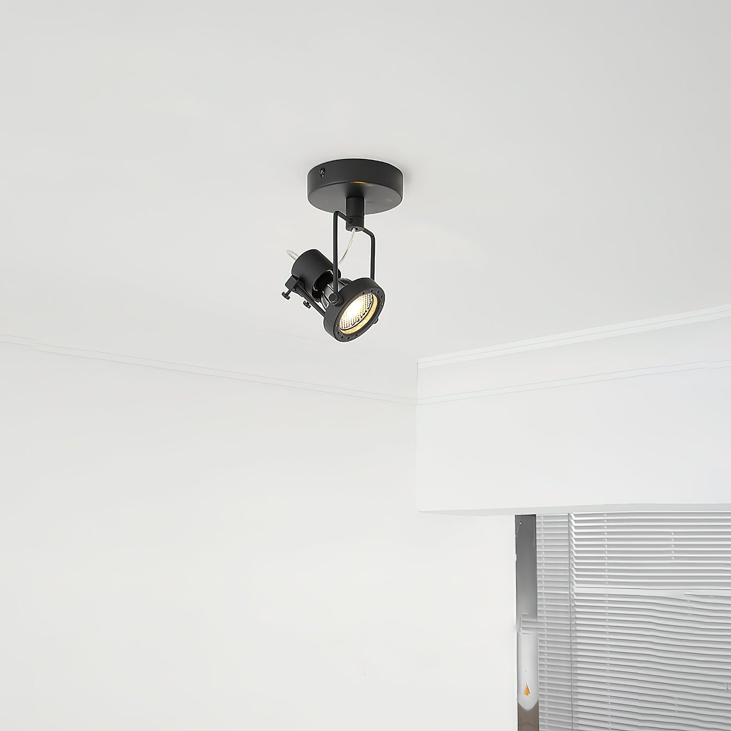 Noron Industrial Ceiling Lamp