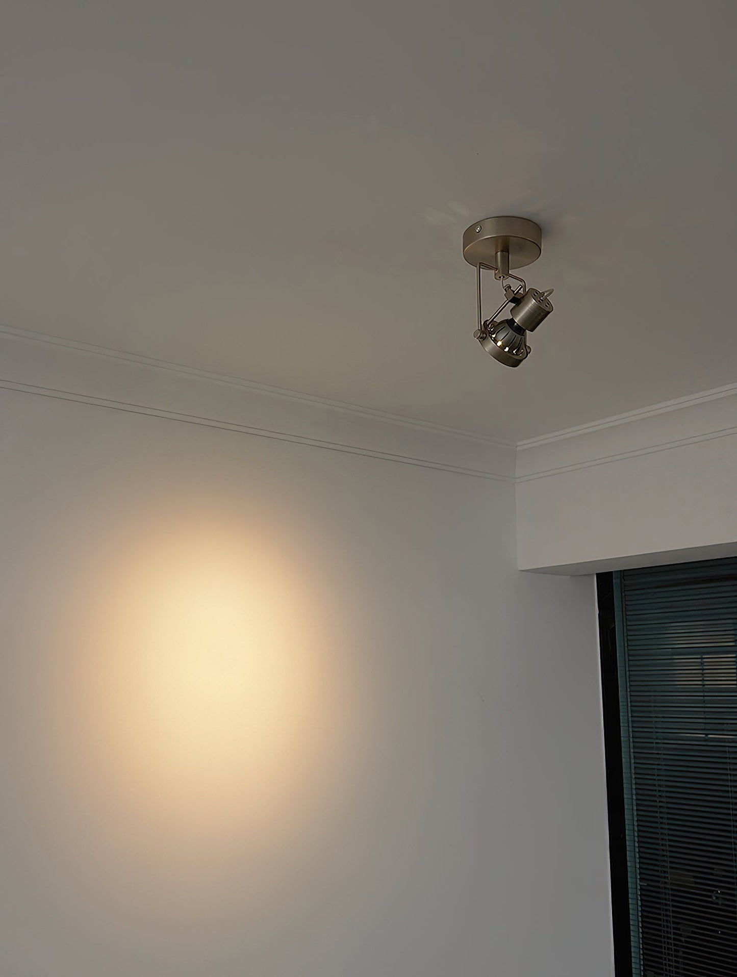 Noron Industrial Nickel Ceiling Lamp