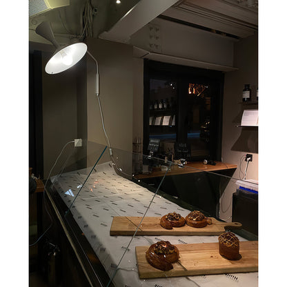 Quinance Swing Arm Plug-in Sconce