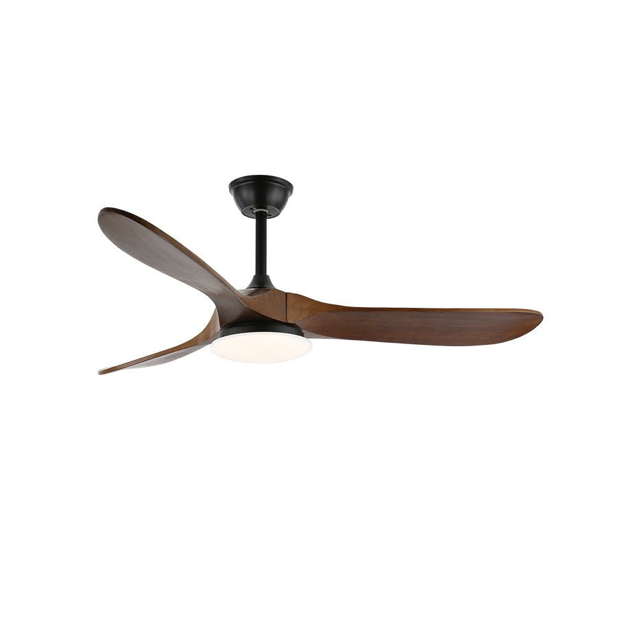 Belien Ceiling Fan Light