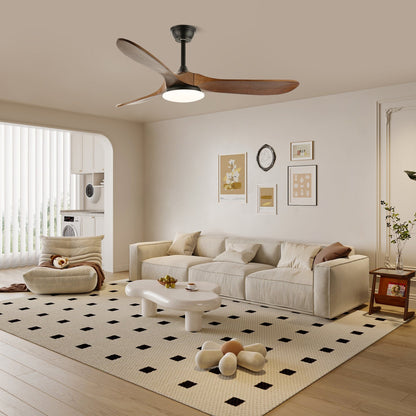 Belien Ceiling Fan Light
