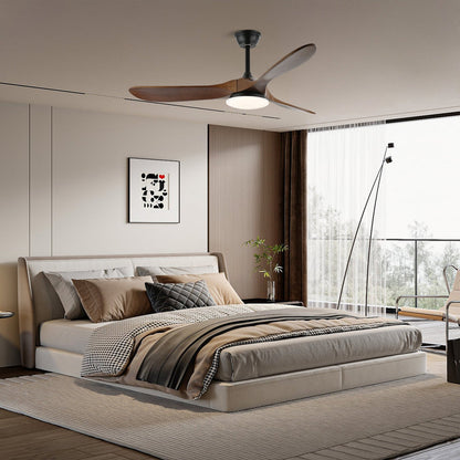 Belien Ceiling Fan Light