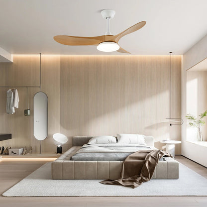 Belien Ceiling Fan Light