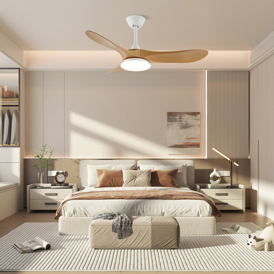 Belien Ceiling Fan Light
