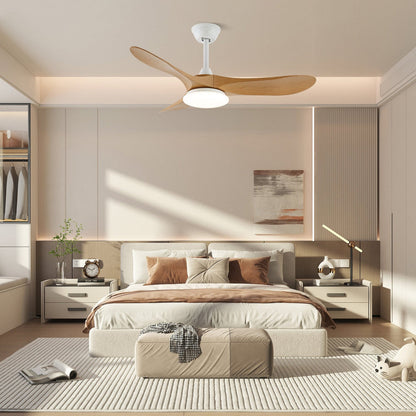 Belien Ceiling Fan Light
