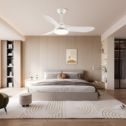 Belien Ceiling Fan Light