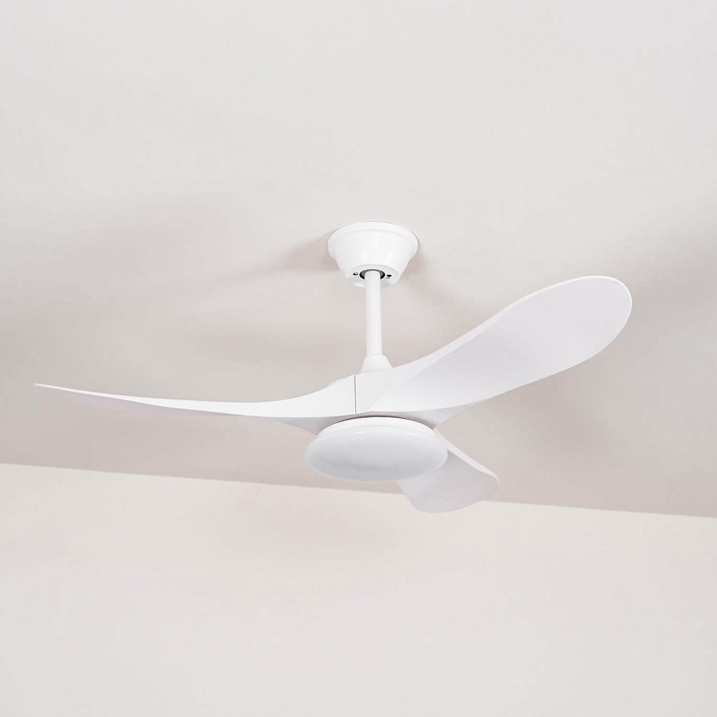 Belien Ceiling Fan Light