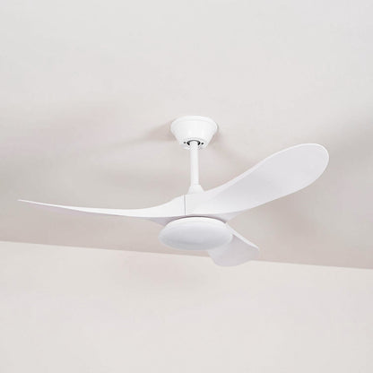 Belien Ceiling Fan Light