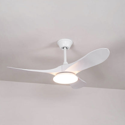 Belien Ceiling Fan Light
