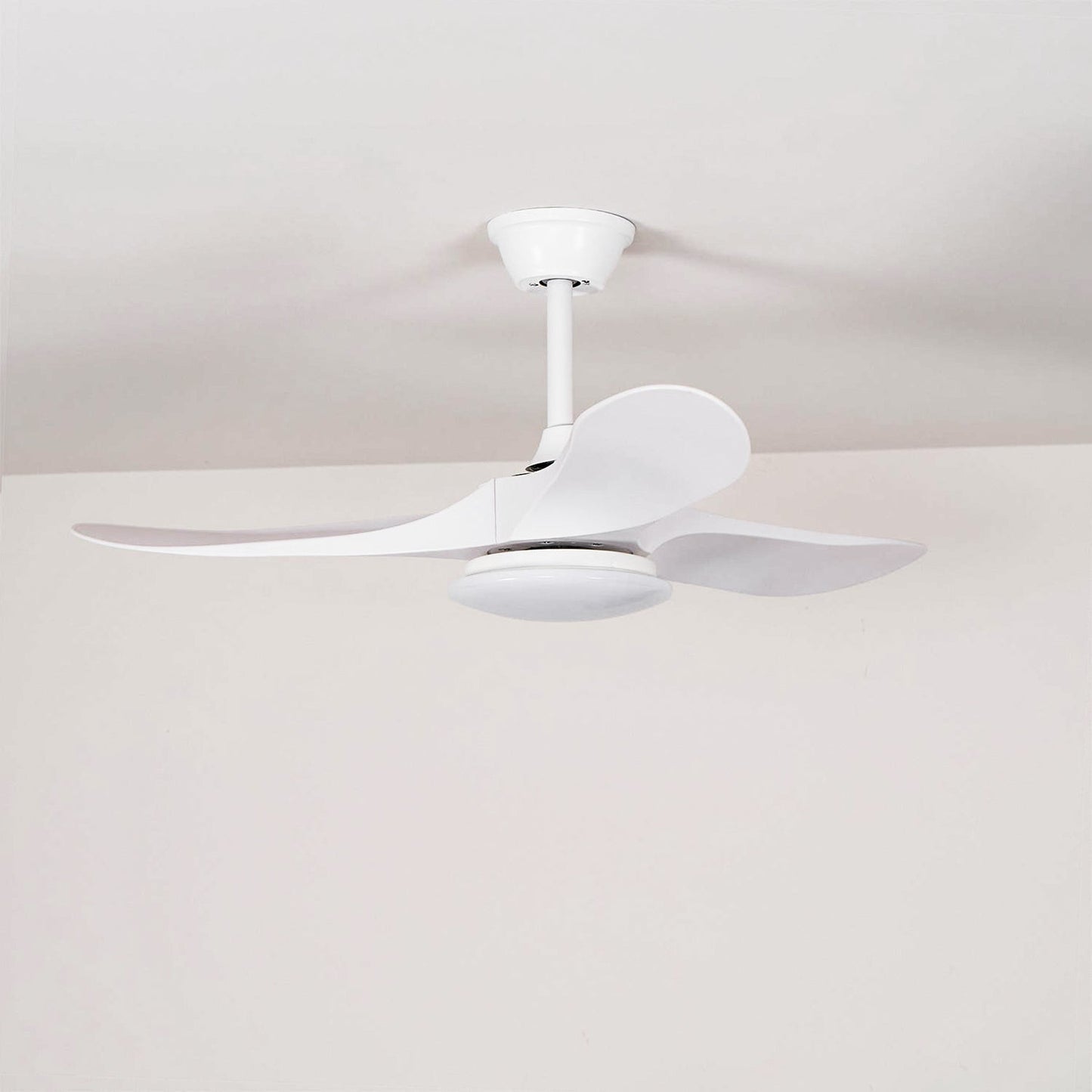Belien Ceiling Fan Light