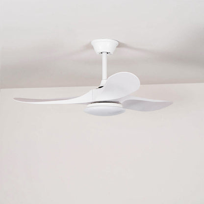 Belien Ceiling Fan Light