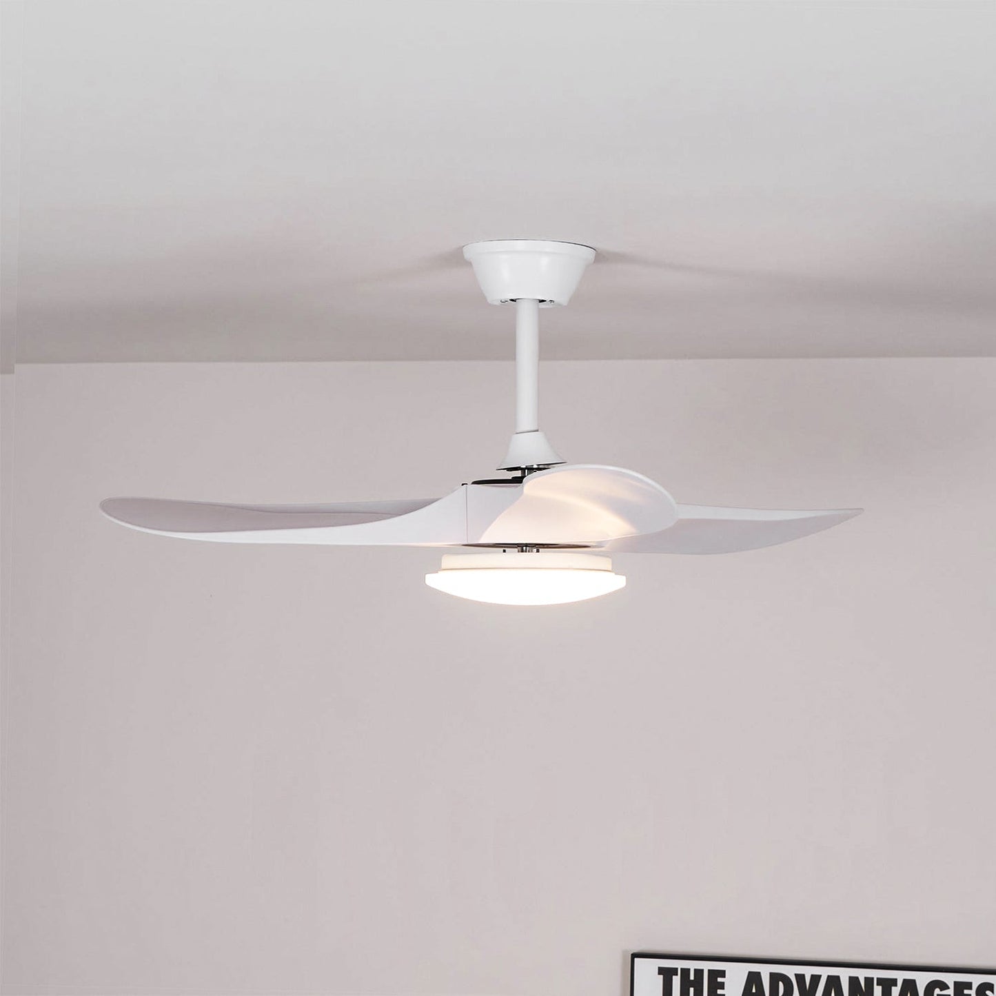 Belien Ceiling Fan Light