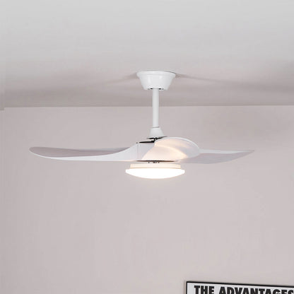 Belien Ceiling Fan Light
