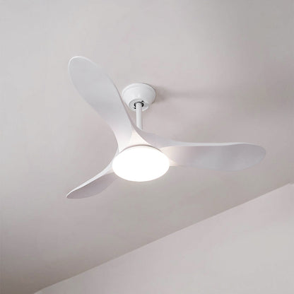 Belien Ceiling Fan Light
