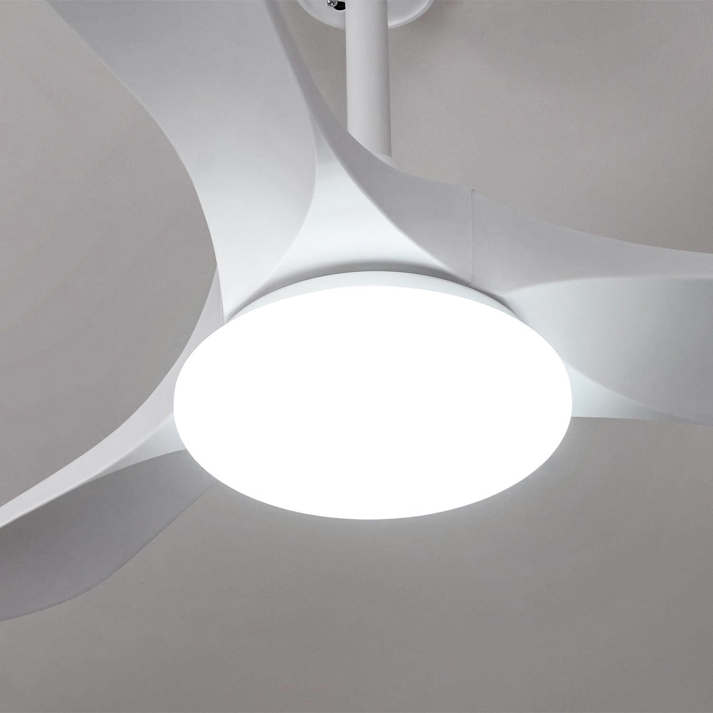 Belien Ceiling Fan Light