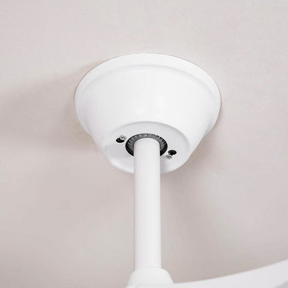 Belien Ceiling Fan Light