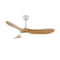 Belien Ceiling Fan Light