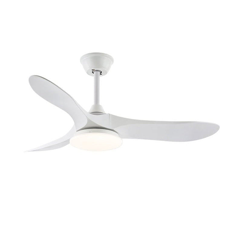 Belien Ceiling Fan Light