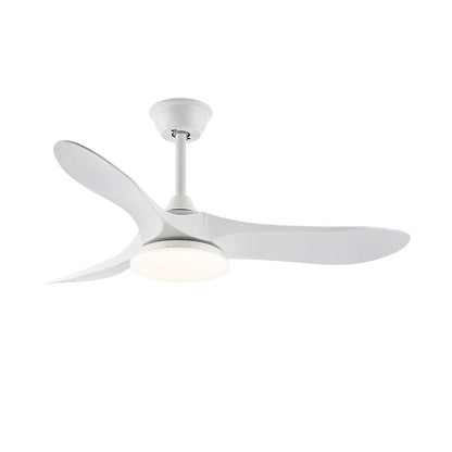Belien Ceiling Fan Light