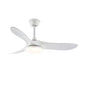 Belien Ceiling Fan Light