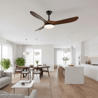 Belien Ceiling Fan Light