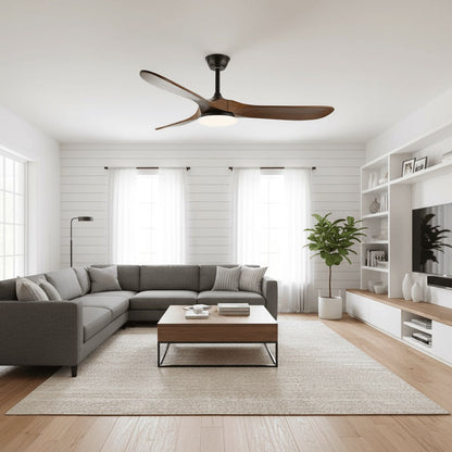 Belien Ceiling Fan Light