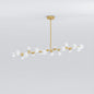Melola Chandelier