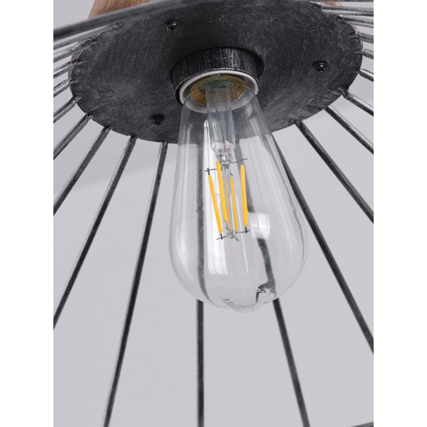 Corai Pendant Lamp