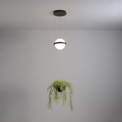 Caren Pendant Lamp