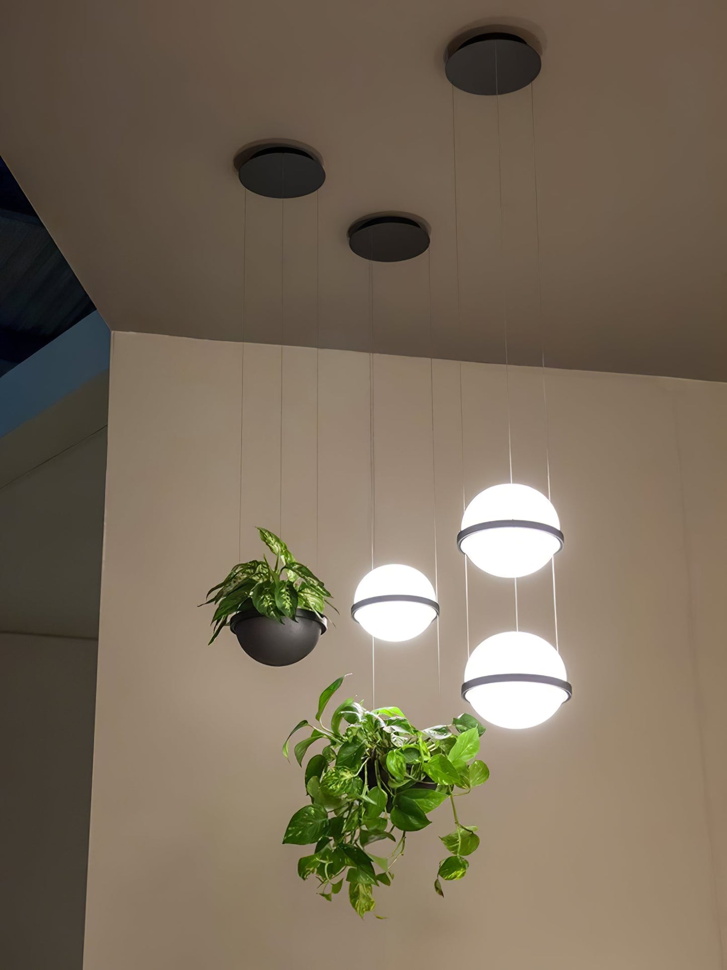 Caren Pendant Lamp