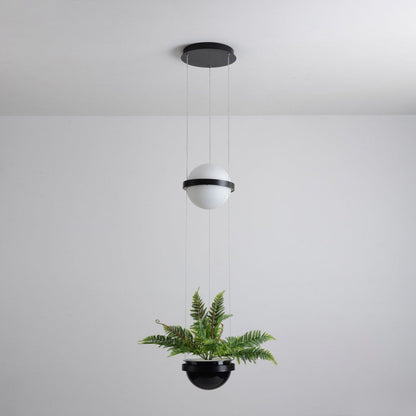 Caren Pendant Lamp