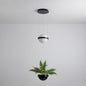 Caren Pendant Lamp