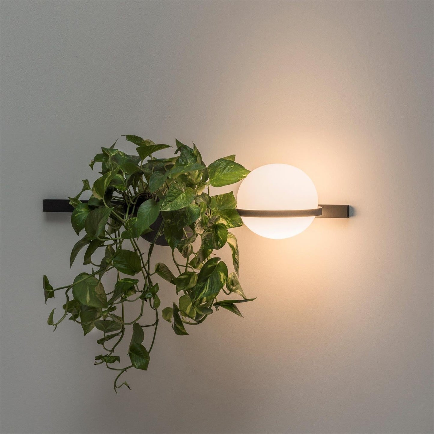 Caren Wall Lamp